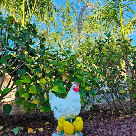 Carlitos By Vista Gomera וילה *